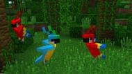Parrots (Image via Mojang)